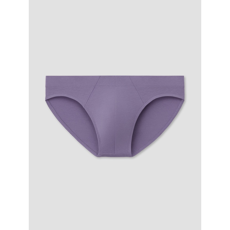 Amethyst Brief