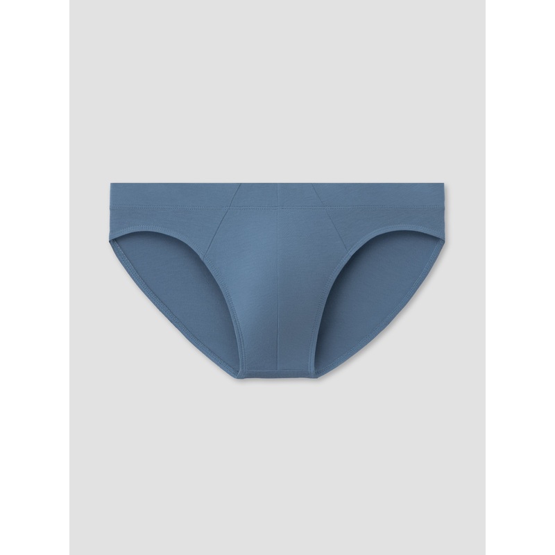 Bluestone Brief