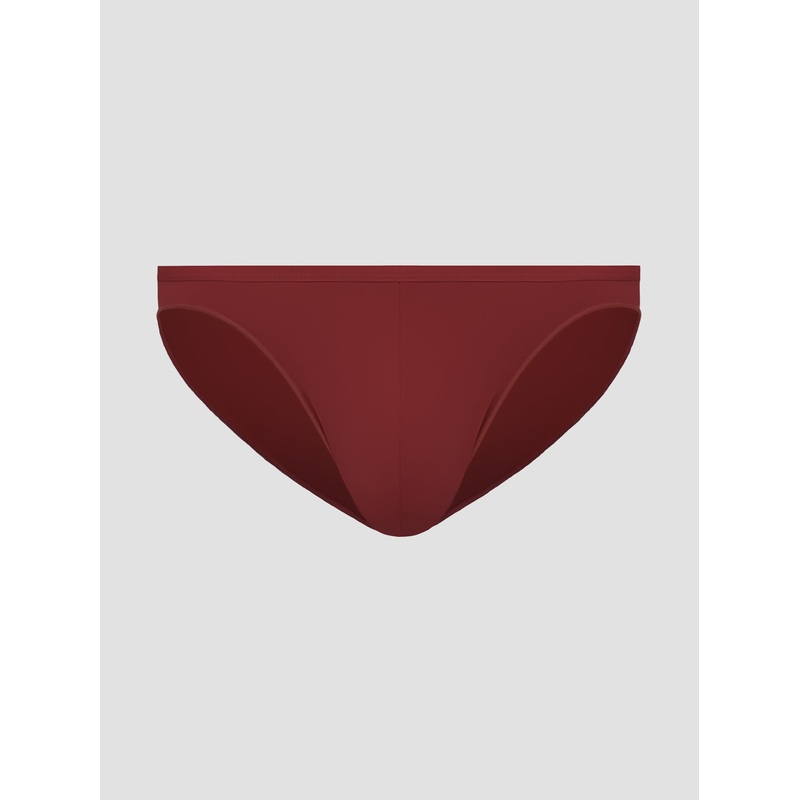 Carnal Micro Brief