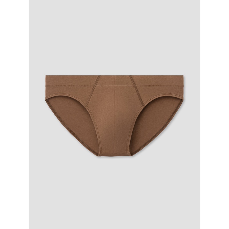 Earth Brief
