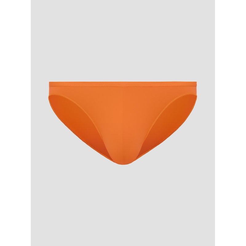 Fire Micro Brief