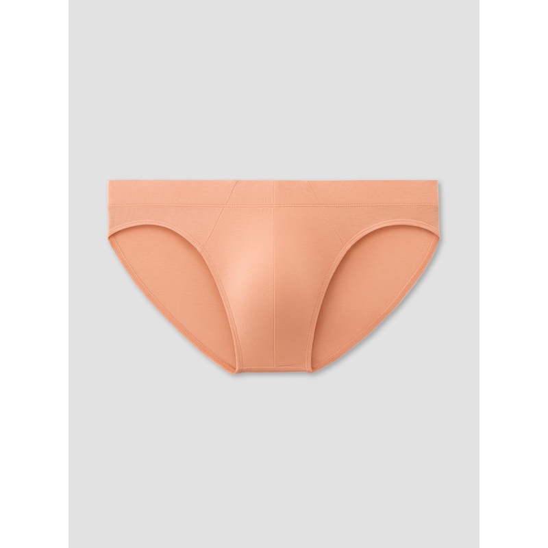Bermuda Brief