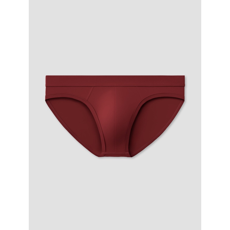 Carnal Brief