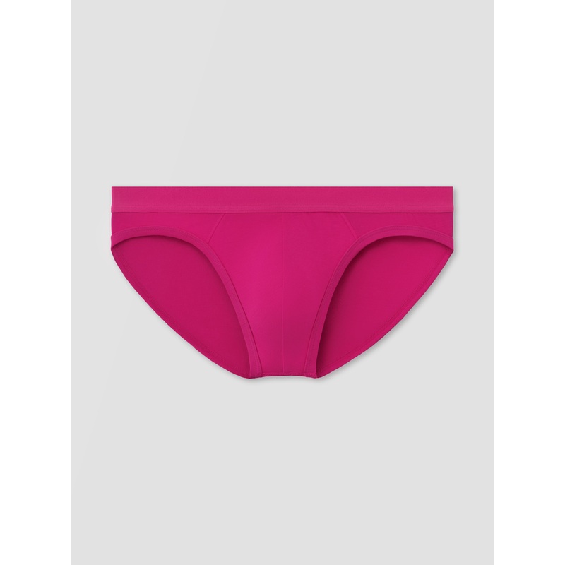 Hibiscus Brief