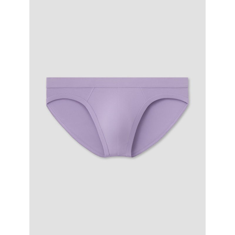 Lavender Brief