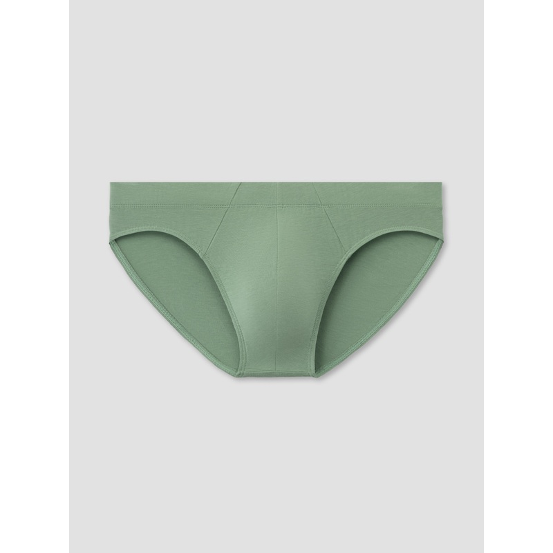 Lichen Brief