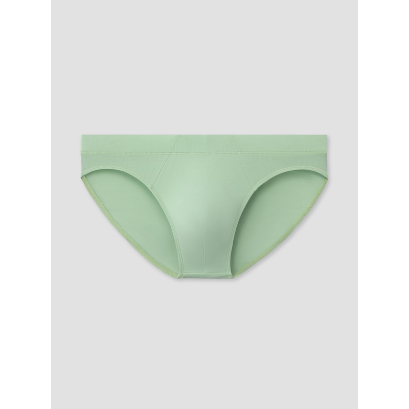 Sage Brief