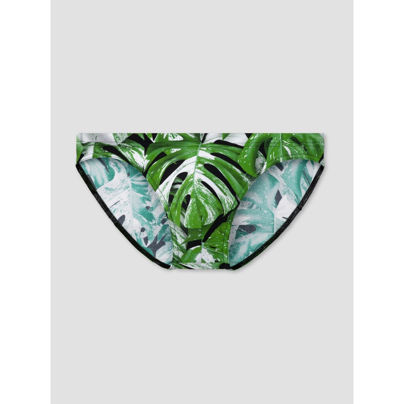 Albo | Shallow Swim Brief