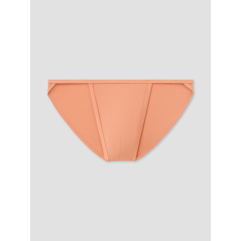Bermuda Endurance Brief