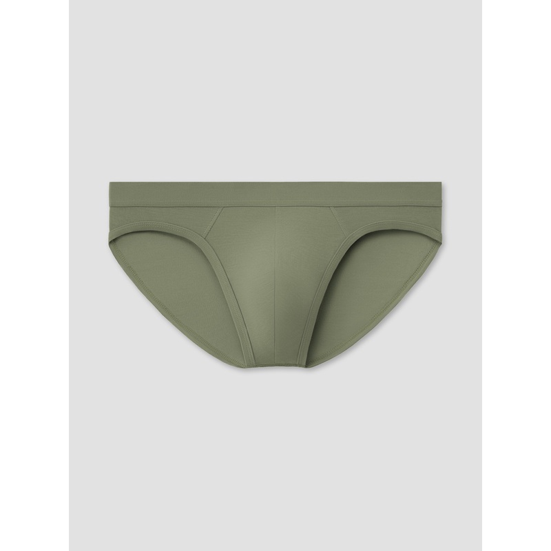 Olive Brief