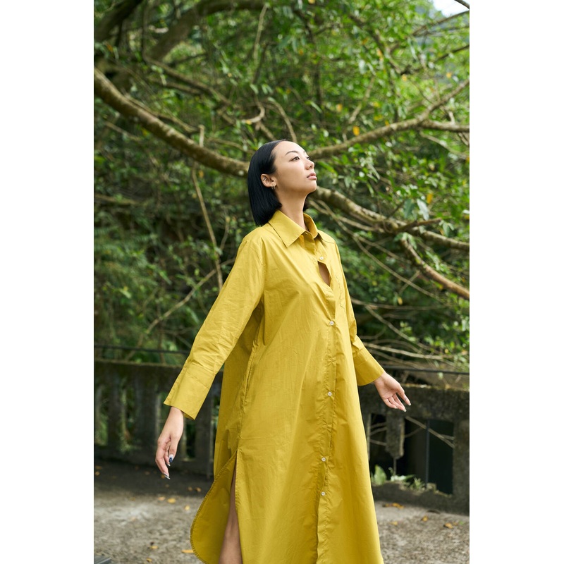 The Eco Edit ~ Relaxed Fit Boyfriend Shirt Dress - Autumn Green