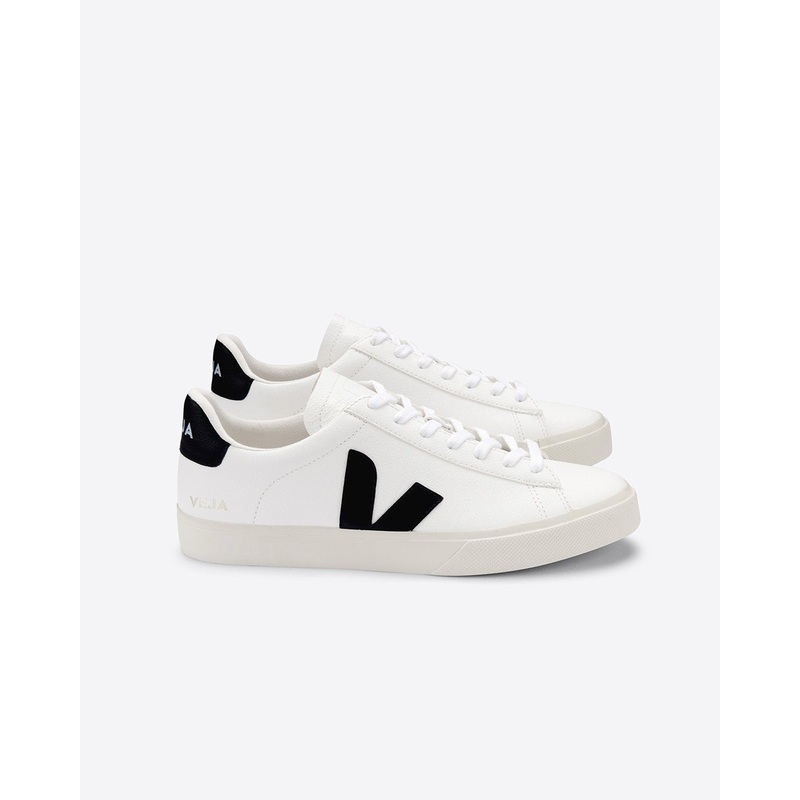 veja campo sneaker