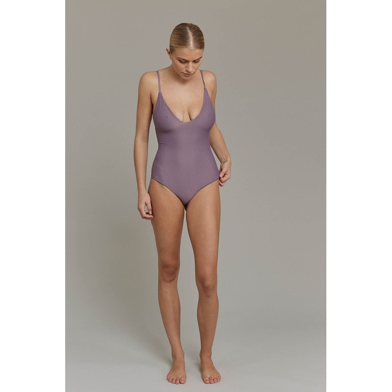 ACACIA Capsule 2025 Tess Mesh One Piece in Concord