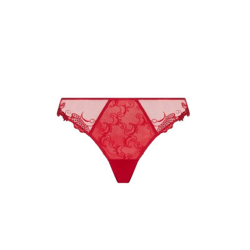 Lise Charmel - Dressing Floral Fancy Mesh Brief Dressing Solaire