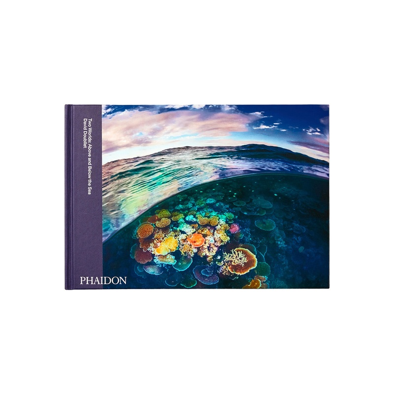 Two Worlds: Above and Below the Sea