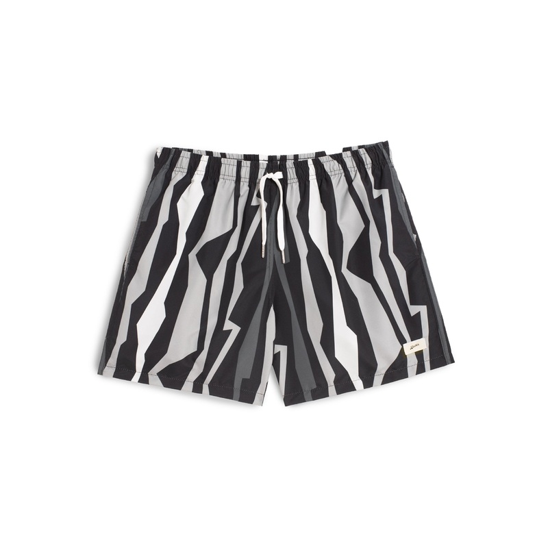Graphite Coastline Swim Trunk