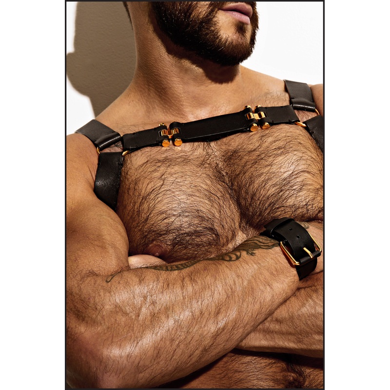 Leather Chest Harness