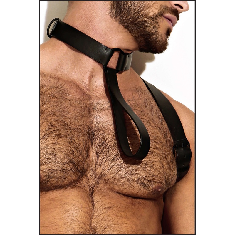 Leather Neck Harness