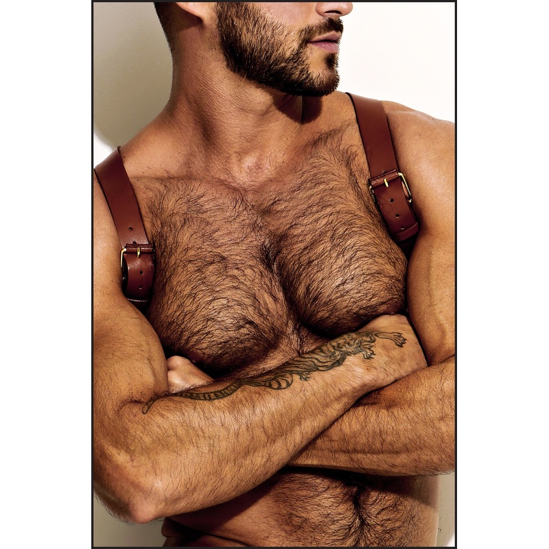 Leather Shoulder Harness
